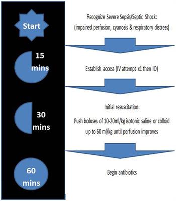 Frontiers | Poor Compliance With Sepsis Guidelines In A Tertiary Care ...